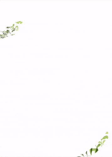 nuestra boda karen y hugo